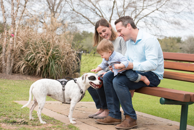 family portrait photography with pet
